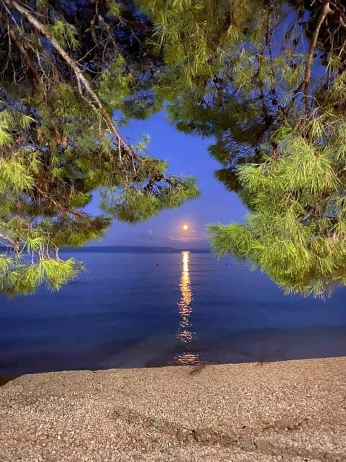 Apartman Magdalena Galileo Plaza Makarska Eksteriør billede